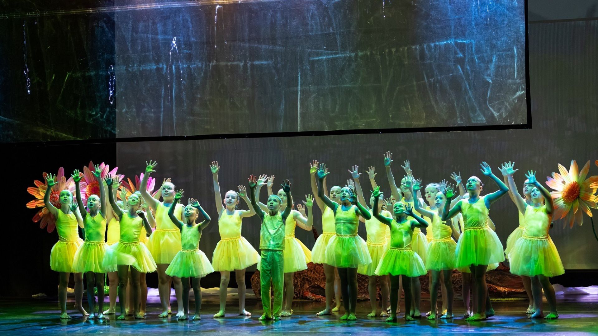 Dance Academy - Motyle w sieci światła - otwarta próba z udziałem publiczności