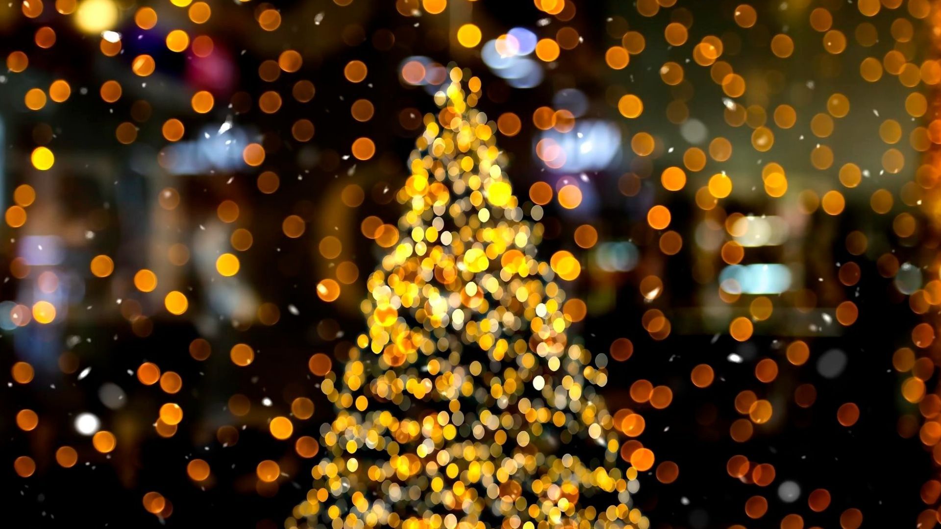 Uroczyste rozświetlenie Miejskiej Choinki - Suwałki 2025