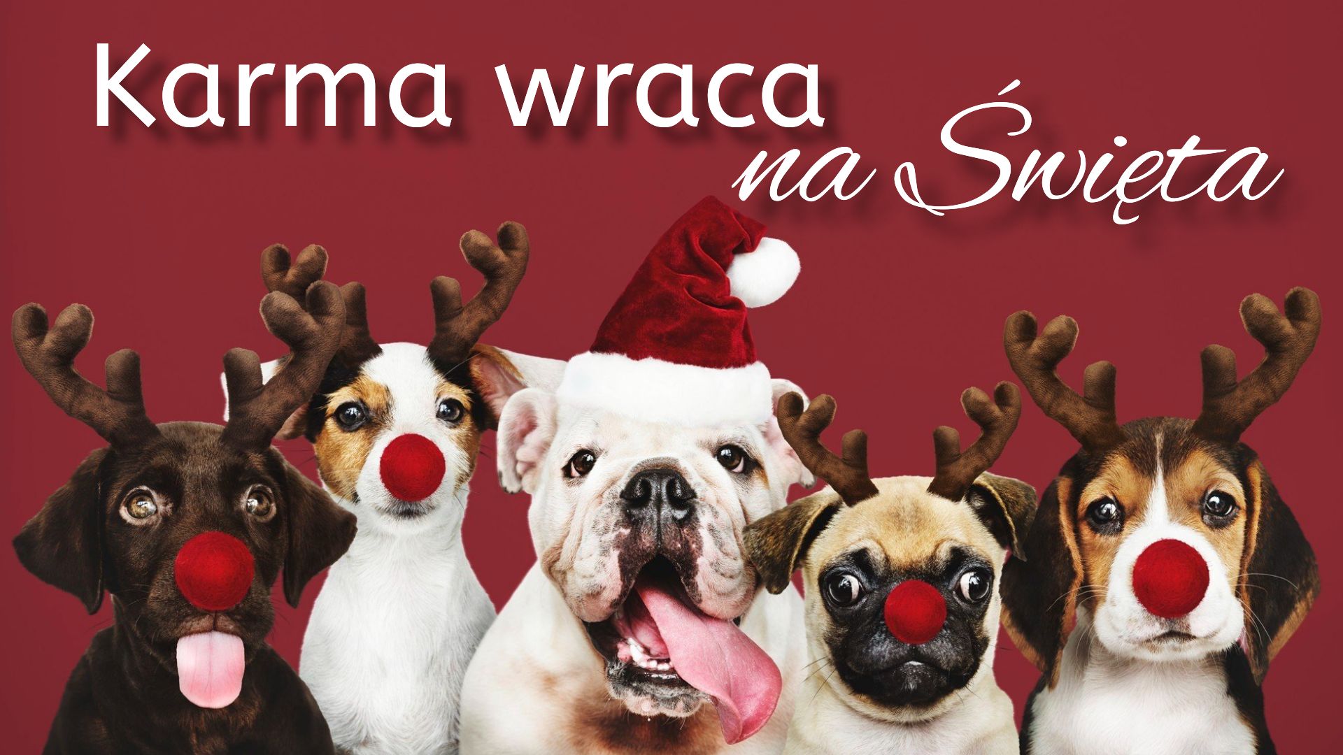 Karma wraca na Święta